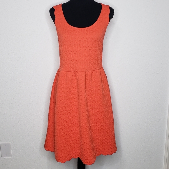 Maeve Dresses & Skirts - Maeve Anthropologie Womens Caye Coral Scallop Midi Dress Lace Size M Feminine